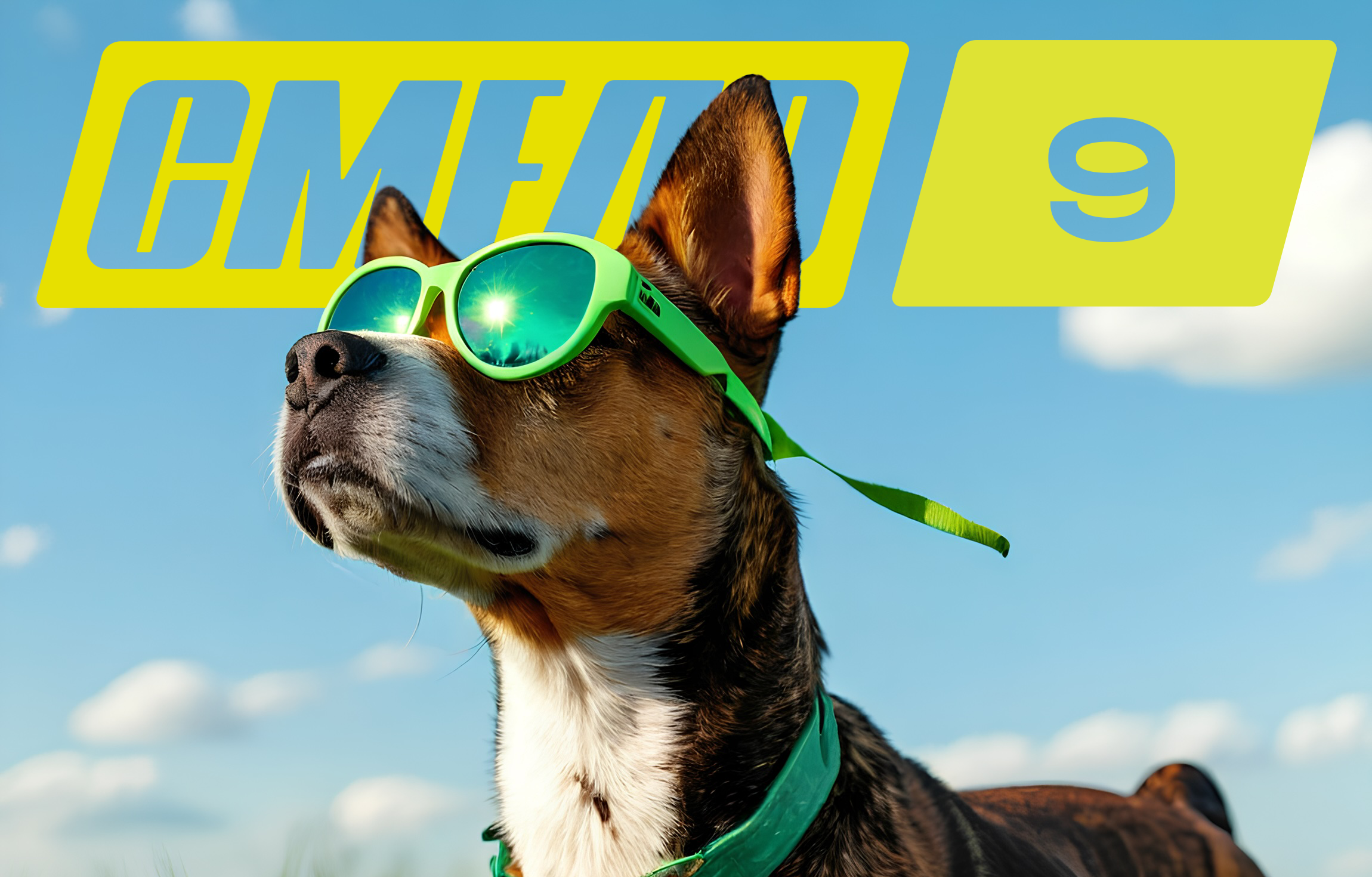 СМЕЛО исполнилось 9 лет